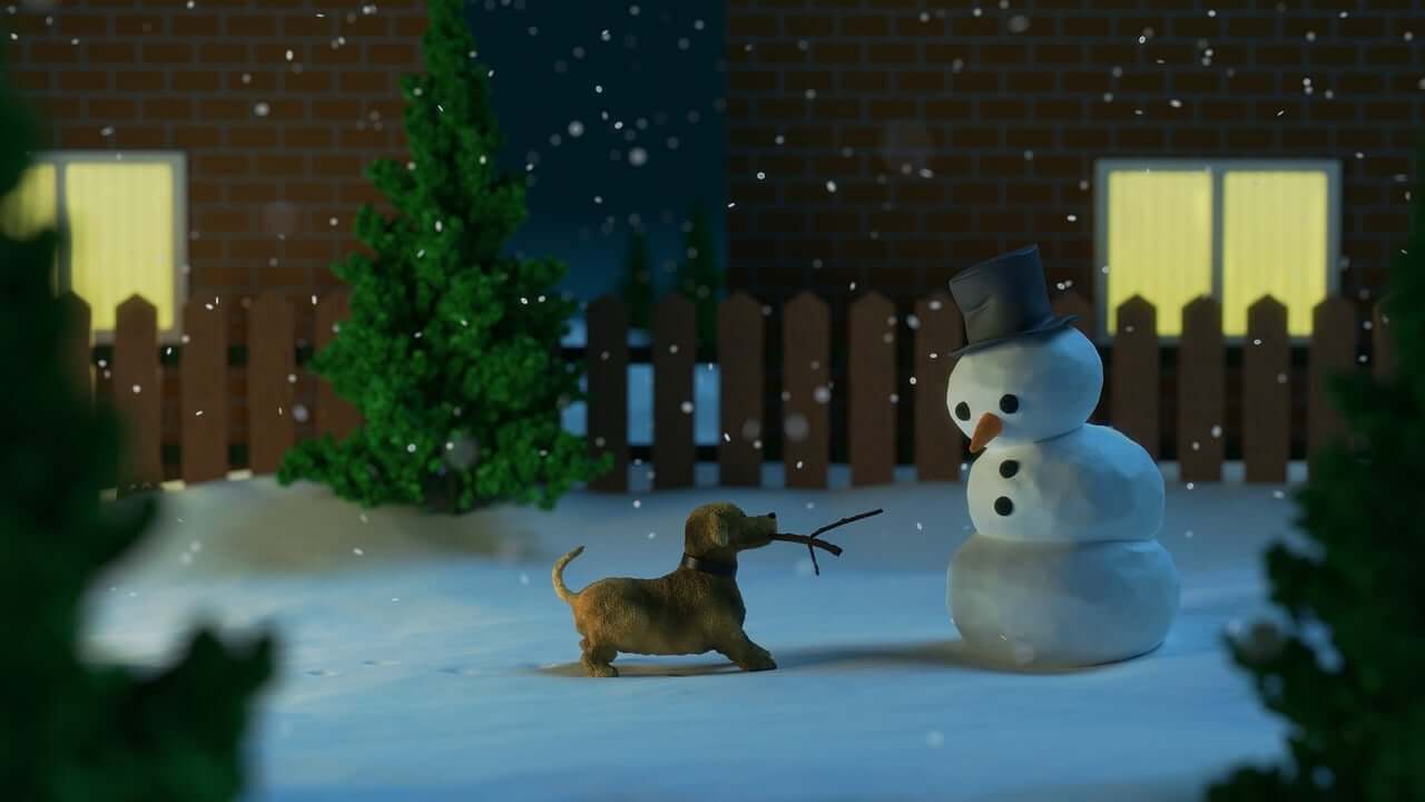 celebrate christmas